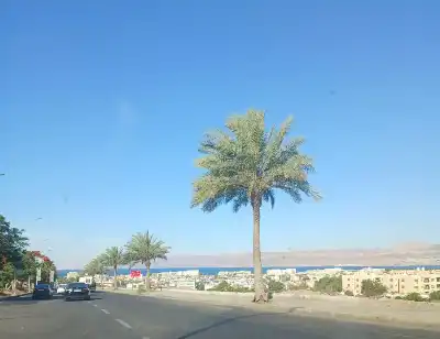 للحفاظ على إطلالة البحر: أهمية تعديل
