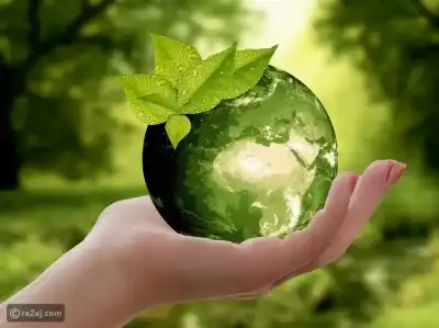 يوم البيئة العالمي.. حماية الكوكب تبدأ