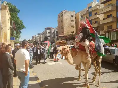 هجانة وجمال أمام دائرة القضاة.. ما