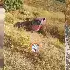 نجاة ضابط أردني وابنائه الأربعة وزوجته