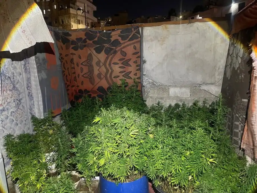 مدار الساعة,أخبار الأردن,اخبار الاردن,مديرية الأمن العام,الأمن العام,إدارة مكافحة المخدرات