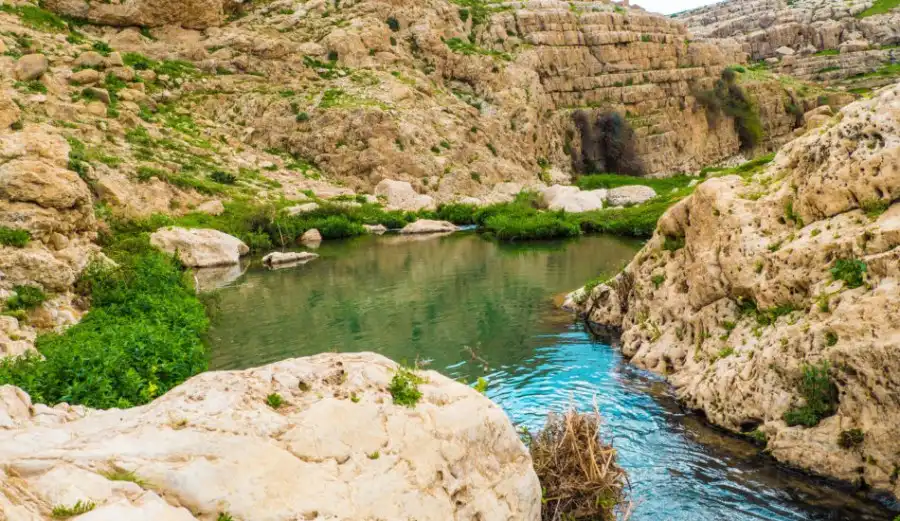 مدار الساعة,أخبار الأردن,اخبار الاردن