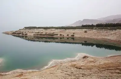 الوزير السابق الناصر: الأردن لن يعود