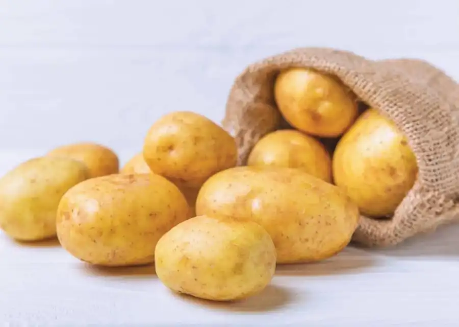 مدار الساعة,أخبار الصحة والأسرة