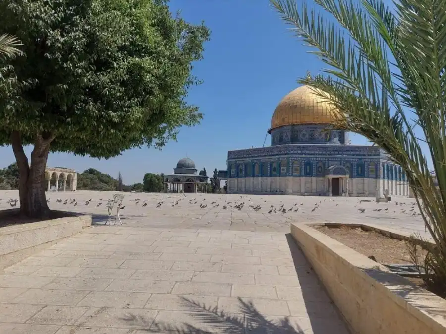 مدار الساعة,أخبار عربية ودولية,المسجد الأقصى