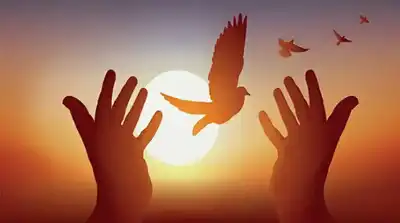 الرحمة وأمن المجتمعات