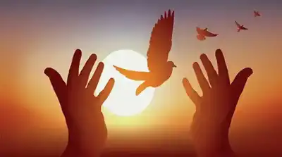 من قسوة القلوب إلى سعة التراحم..