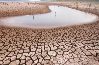 بوصلة السائرين في زحام الحياة