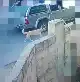 10 مواطنين يتعرضون للعقر من كلب
