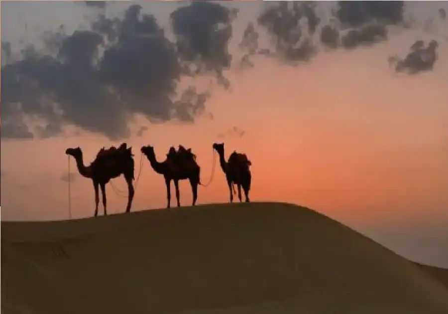 مدار الساعة,أخبار ثقافية