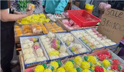 صيد السكويشي ينتعش في سيؤول.. ألعاب
