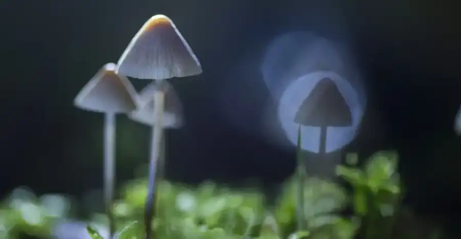 مدار الساعة,أخبار الصحة والأسرة