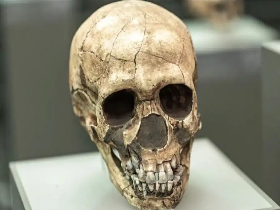 مدار الساعة,أخبار خفيفة ومنوعة
