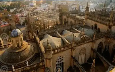 في زمن العولمة والرقمية.. كيف نحمي