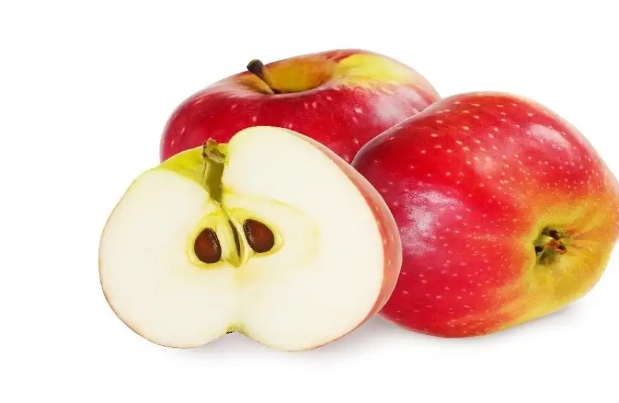 مدار الساعة,أخبار الصحة والأسرة