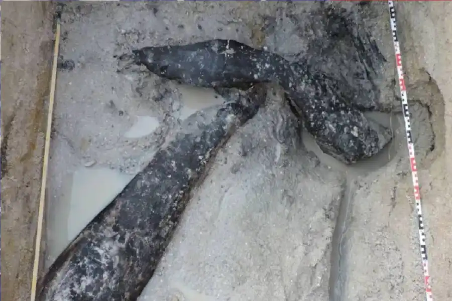 مدار الساعة,أخبار خفيفة ومنوعة