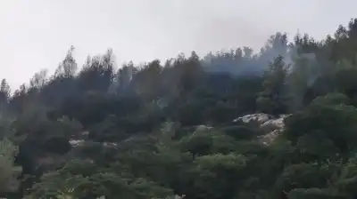 السيطرة على حريق أتى على نحو