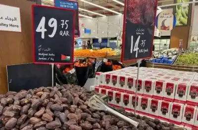 في اليوم العربي للنخيل.. التمور الأردنية