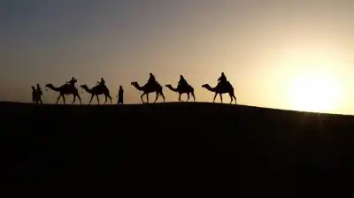 الهجرة الى المدينة: الوعاء الحضاري والبوثقة