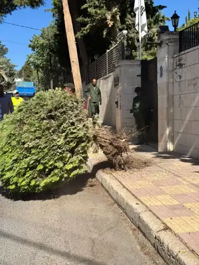 الرصيف يعود إلى الناس.. عمّان تعيد