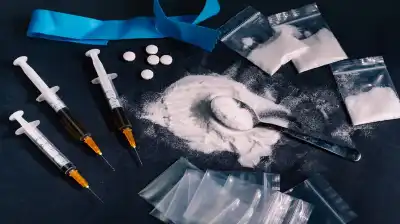 الموافقة على إضافة 4 مواد جديدة