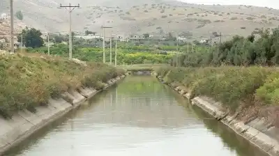 الأغوار الشمالية: ضبط 6 اعتداءات على