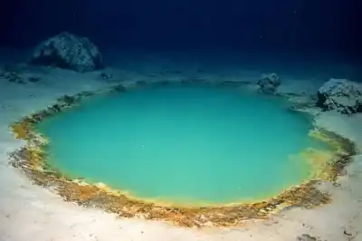 من أعماق البحر الأحمر.. كنز كيميائي