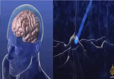 منح جائزة نوبل في الطب لعام