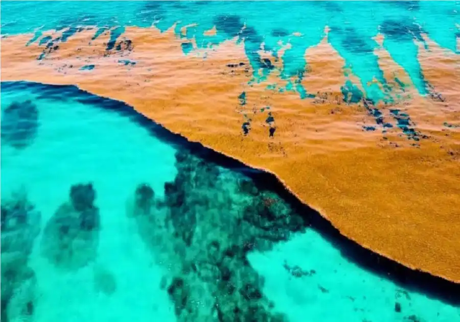 مدار الساعة,أخبار خفيفة ومنوعة