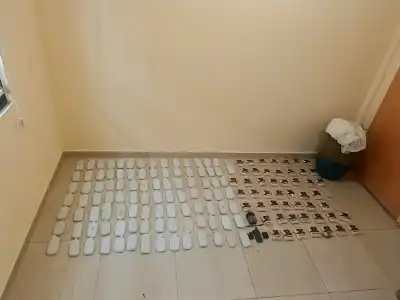 الجيش الأردني: رصدناها وأسقطناها