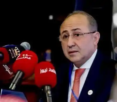 الكارثة ليست في الأحزاب… بل في