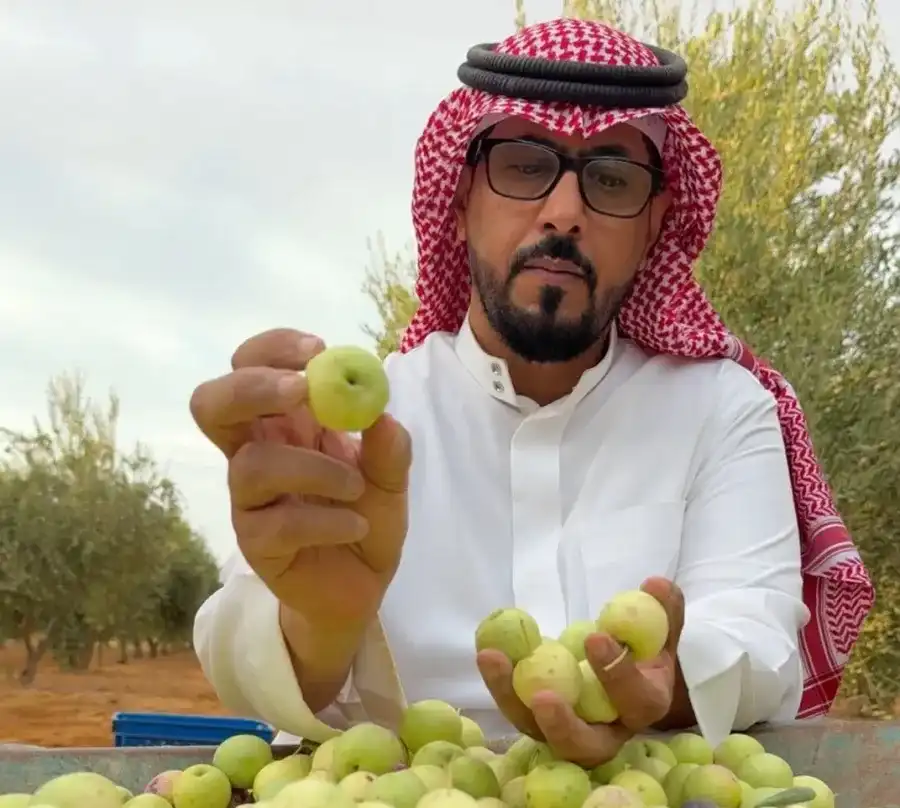 مدار الساعة,أخبار عربية ودولية