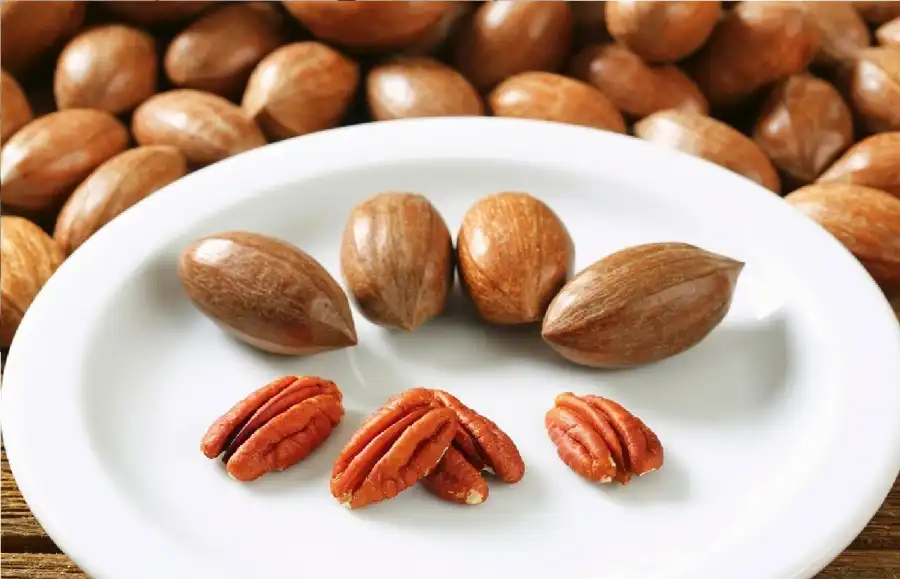 مدار الساعة,أخبار الصحة والأسرة