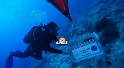 تقل جرارا أردنية.. العثور على أقدم
