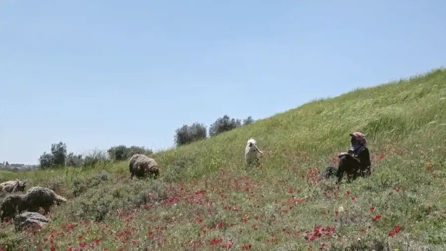 مدار الساعة,أخبار ثقافية