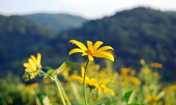 مدار الساعة, الطقس في الأردن اليوم