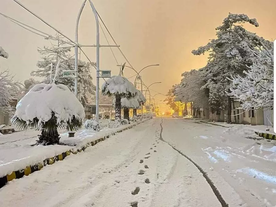 مدار الساعة,أخبار خفيفة ومنوعة