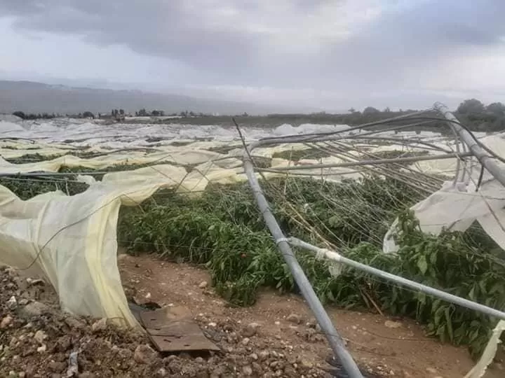 مدار الساعة,أخبار الأردن,اخبار الاردن