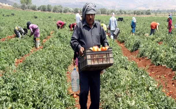 مدار الساعة,أخبار اقتصادية,كورونا,البنك المركزي