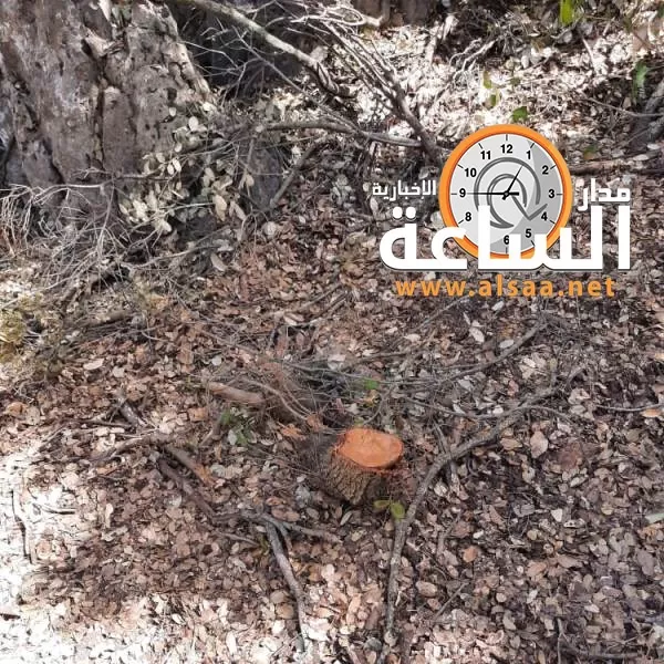 مدار الساعة,أخبار الأردن,اخبار الاردن