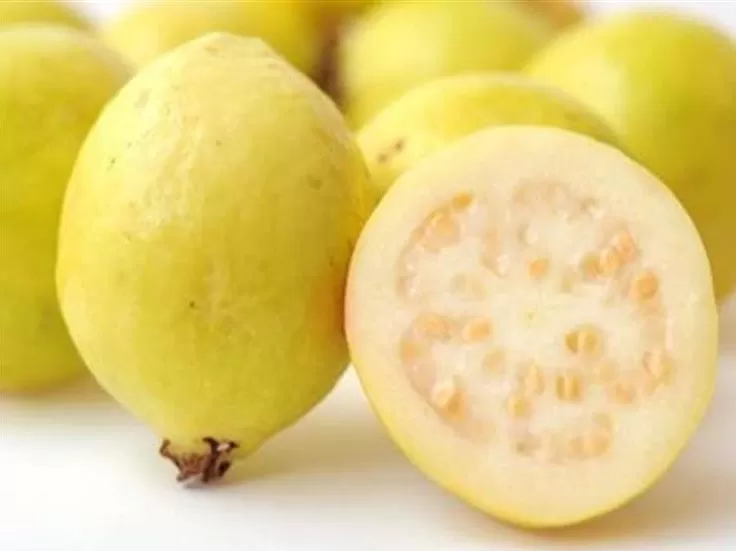 وزارة الزراعة: رخصة استيراد الجوافة «مزورة»