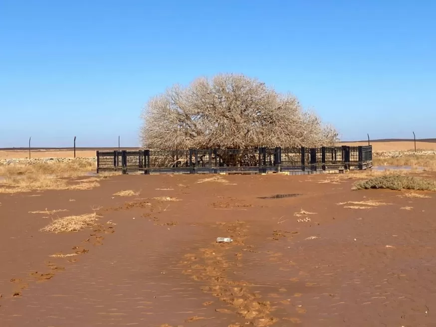 مدار الساعة,أخبار الأردن,اخبار الاردن,وزير المياه والري,محمد الخلايلة