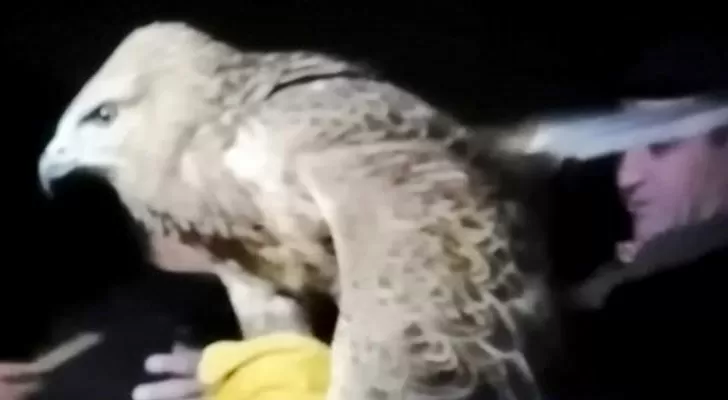 مدار الساعة,أخبار الأردن,اخبار الاردن,الدفاع المدني