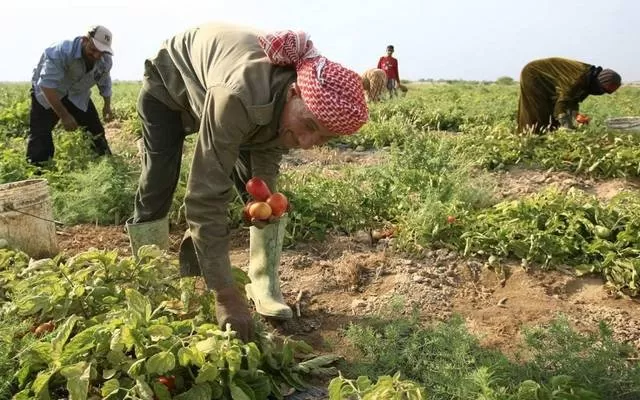 مدار الساعة,أخبار الأردن,اخبار الاردن,مؤسسة الإقراض الزراعي