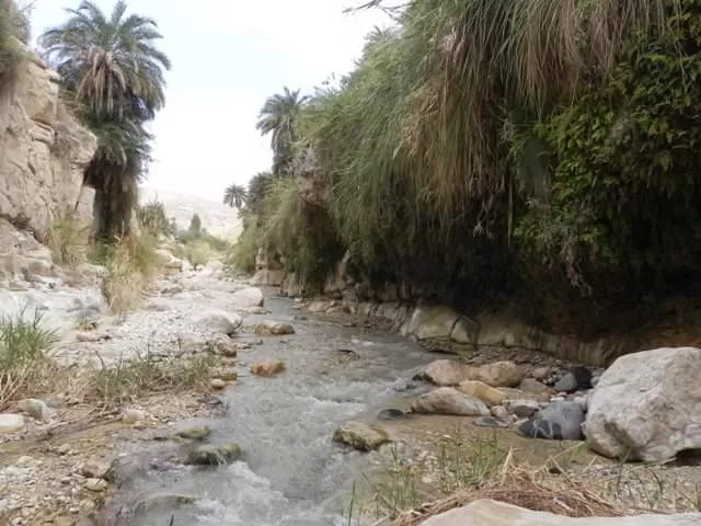 مدار الساعة,أخبار السياحة في الأردن