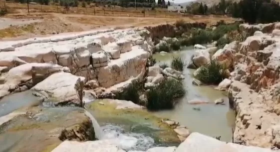 مدار الساعة,أخبار خفيفة ومنوعة