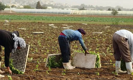 مدار الساعة,أخبار خفيفة ومنوعة