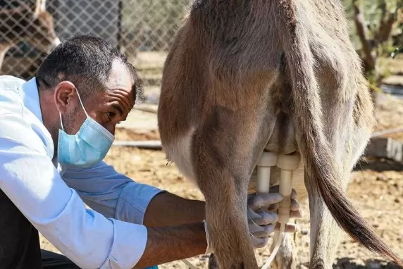 مدار الساعة,أخبار الأردن,اخبار الاردن