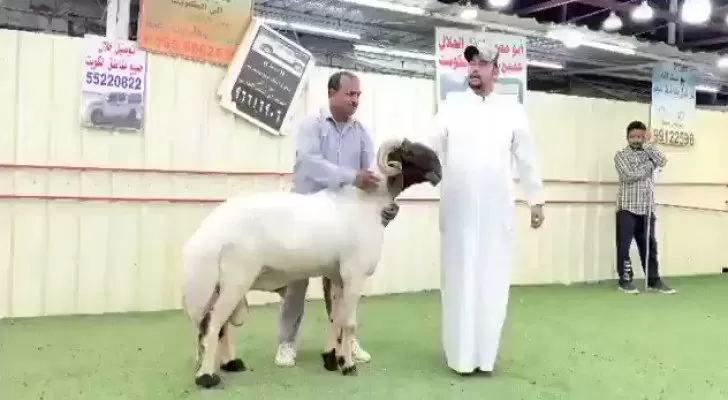 مدار الساعة, اخبار خفيفة,الكويت