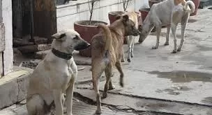 مدار الساعة,أخبار عربية ودولية